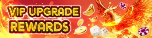 TODOPLAY VIP REWARDS