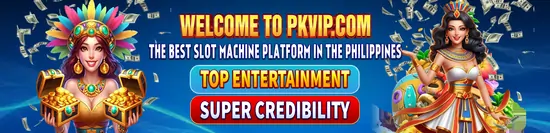 PKVIP BANNER